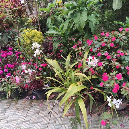 Soly'S Villa Homestay Munnar Exteriér fotografie