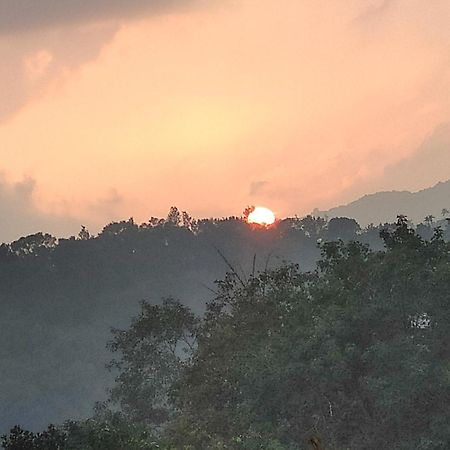 Soly'S Villa Homestay Munnar Exteriér fotografie