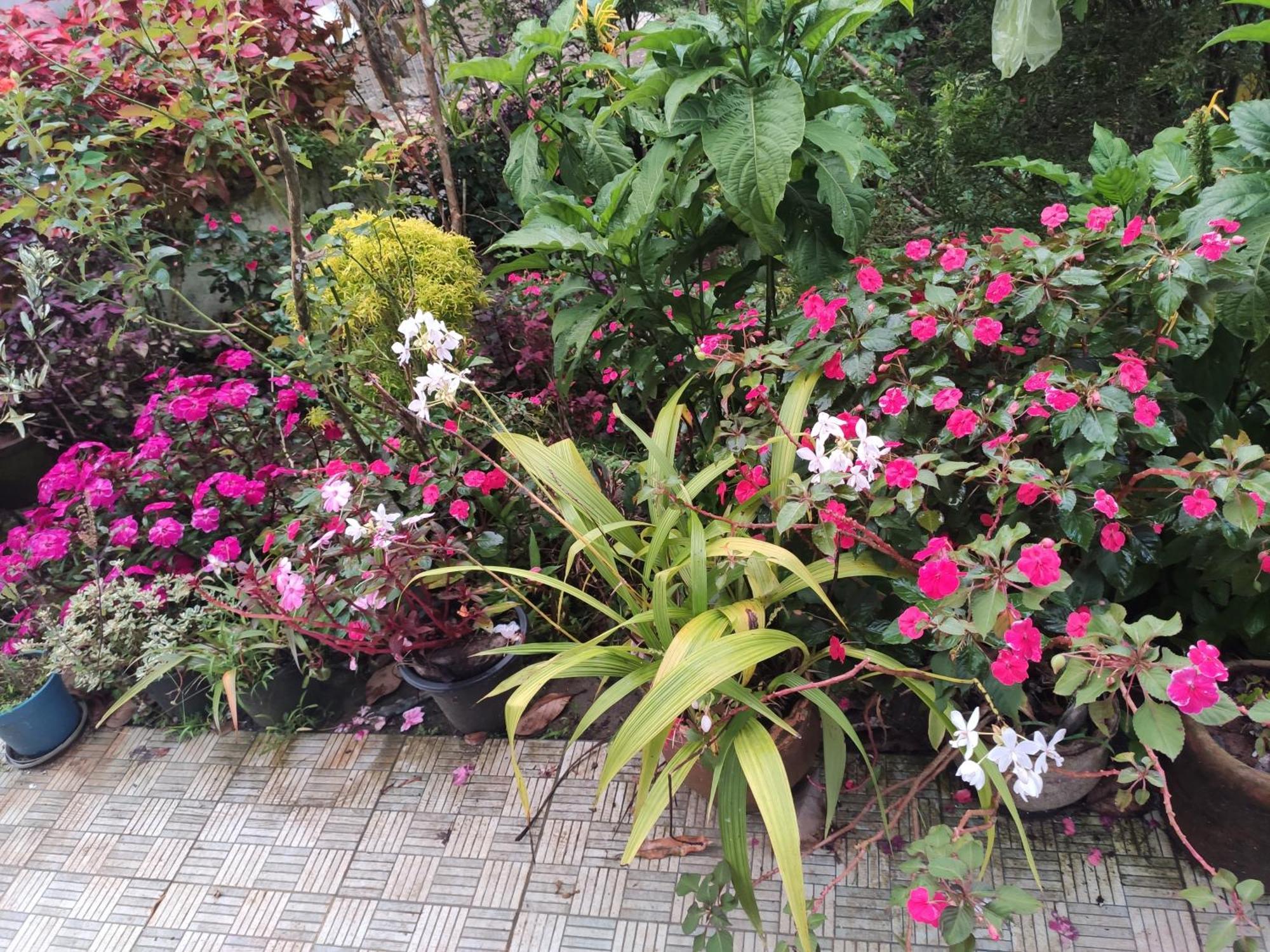 Soly'S Villa Homestay Munnar Exteriér fotografie